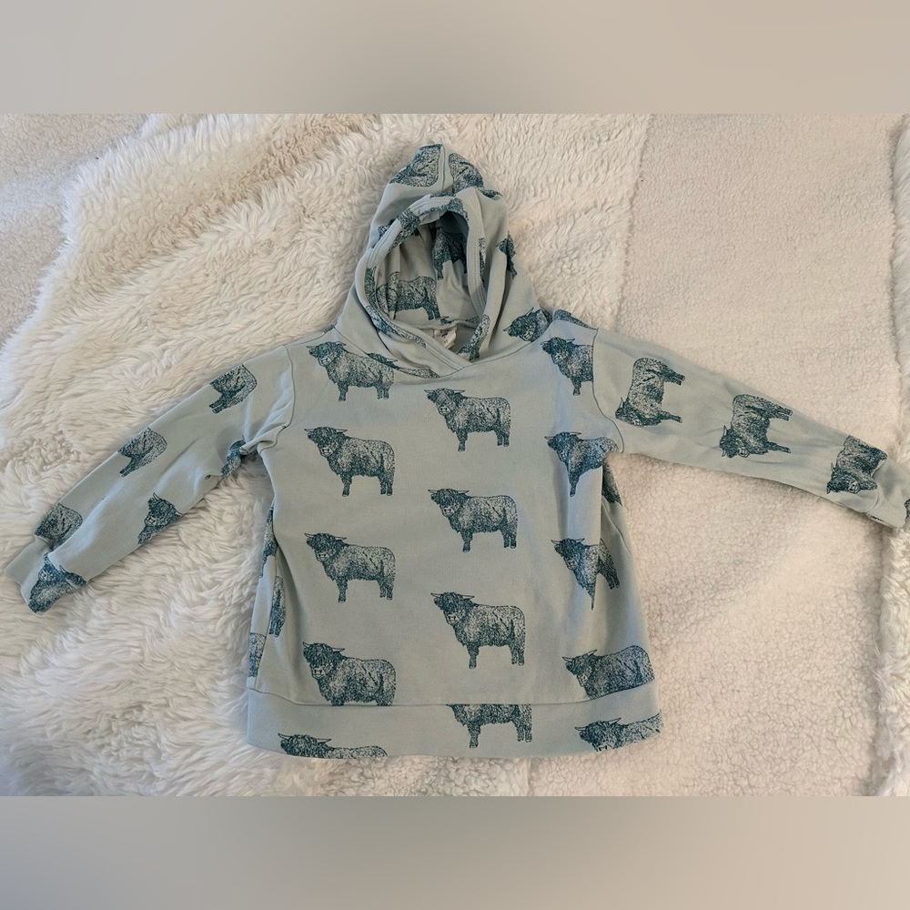 NWOT Highland Cow Kate Quinn Hoodie